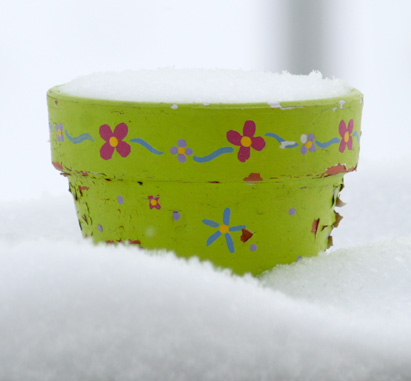 flower pot in the snow photo by jgoode