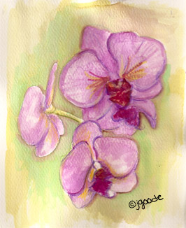 watercolor painting of orchids